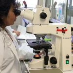 programa-futuras-cientistas-tem-470-vagas-para-alunas-e-professoras